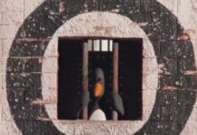 Microsoft lancia Defender per i desktop Linux: sicurezza aziendale avanzata Microsoft lancia Defender per i desktop Linux: sicurezza aziendale avanzata
