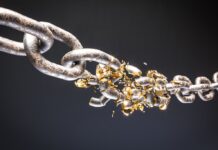 Attacco coordinato su GitHub: 61 repository colpiti in meno di un’ora Attacco coordinato su GitHub: 61 repository colpiti in meno di un'ora