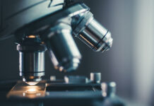 Scienziati di Argonne sviluppano un microscopio a raggi X con intelligenza artificiale conversazionale Scienziati di Argonne sviluppano un microscopio a raggi X con intelligenza artificiale conversazionale