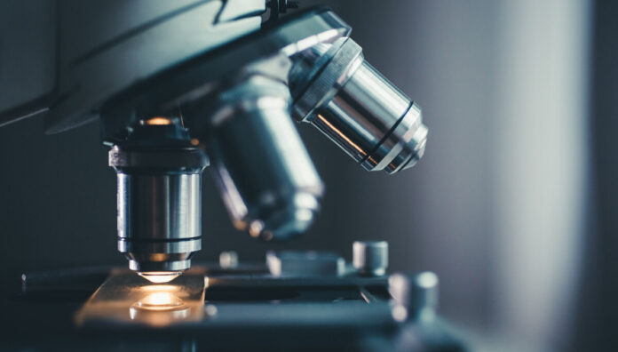 Scienziati di Argonne sviluppano un microscopio a raggi X con intelligenza artificiale conversazionale