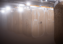 Volare inaugura una fabbrica di proteine da insetti da 15 milioni di euro in Finlandia Volare opens €15M 10,000 m² insect protein factory, secures €7.1M to scale across Europe