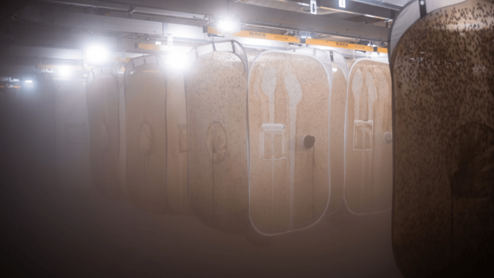Volare opens €15M 10,000 m² insect protein factory, secures €7.1M to scale across Europe