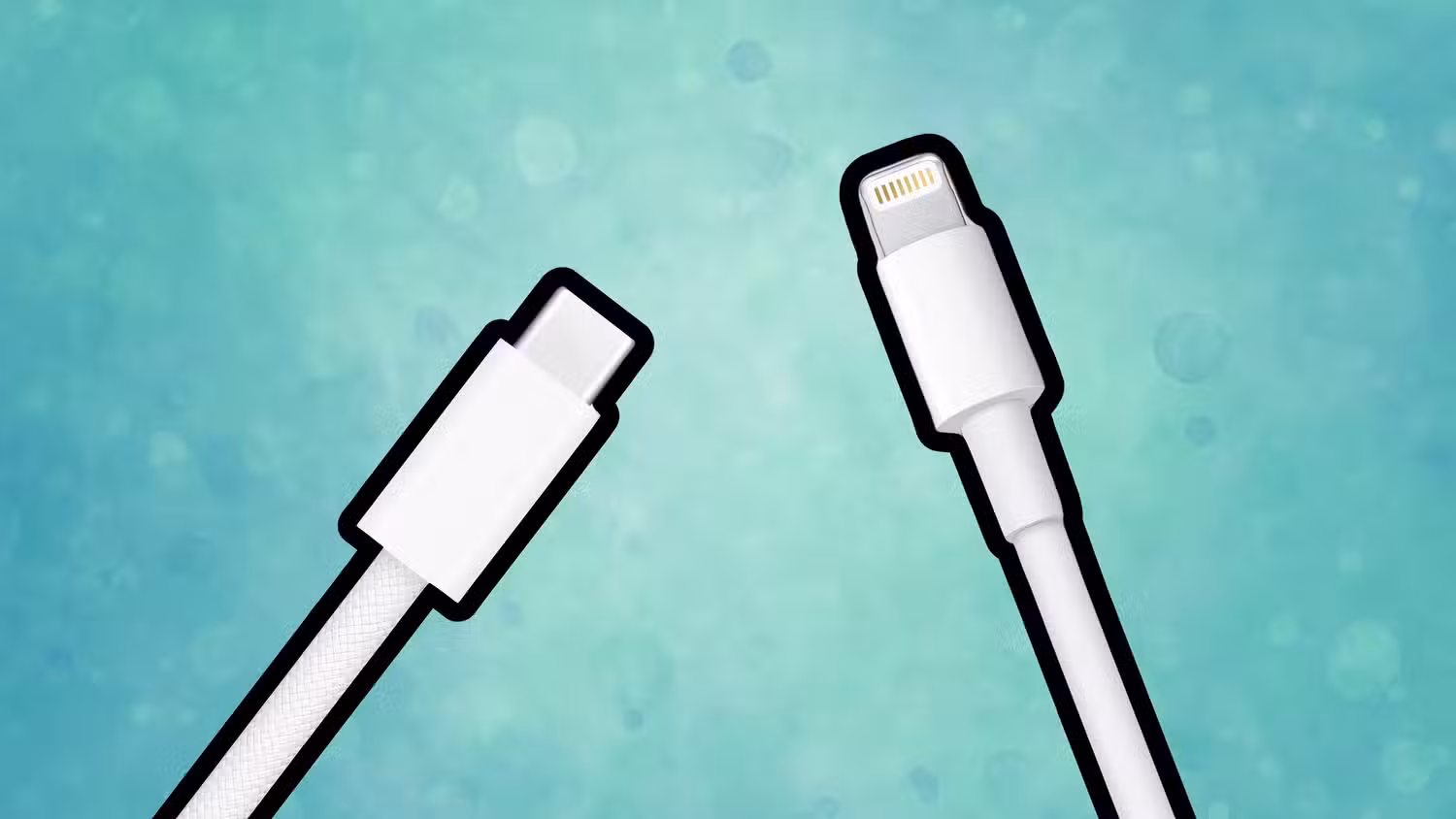 USB-C and Lightning cables